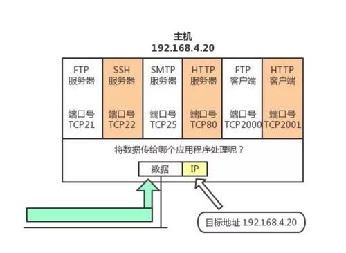 菜鳥系列計(jì)算機(jī)網(wǎng)絡(luò) TCP 與 UDP 協(xié)議深度解析及計(jì)算機(jī)網(wǎng)絡(luò)系統(tǒng)工程實(shí)踐
